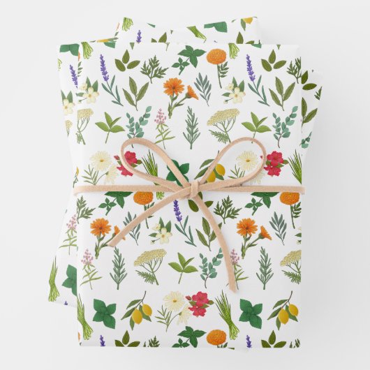 Papieren bladen van Apothecary Herb-pakpapier Inpakpapier Vel (In situ)