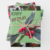 Papieren bladen voor echt kerstwandelpapier in Eur Inpakpapier Vel (In situ)