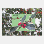 Papieren bladen voor echt kerstwandelpapier in Eur Inpakpapier Vel (Voorkant)