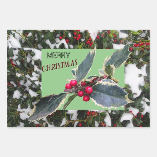 Papieren bladen voor echt kerstwandelpapier in Eur Inpakpapier Vel (Voorkant)