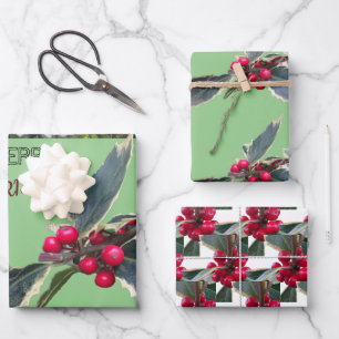 Papieren bladen voor echt kerstwandelpapier in Eur Inpakpapier Vel