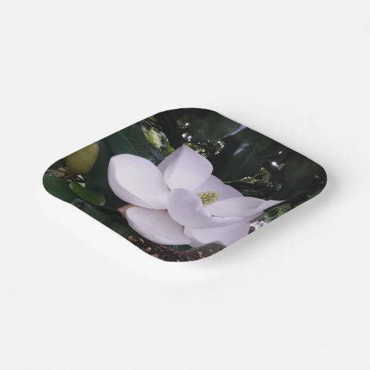 Papieren Bord (Gebogen)