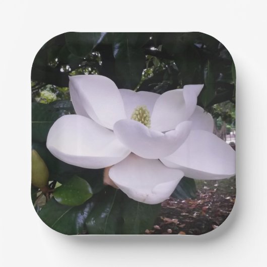 Papieren Bord (Voorkant)