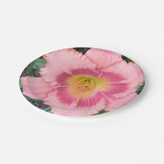 Papieren Bord (Gekanteld)