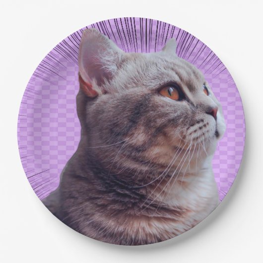 Papieren Bord (Voorkant)