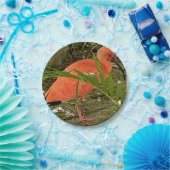 papieren bord (Feest)