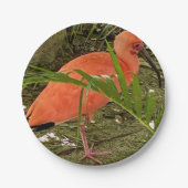 papieren bord (Voorkant)