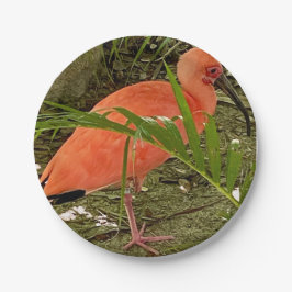 papieren bord