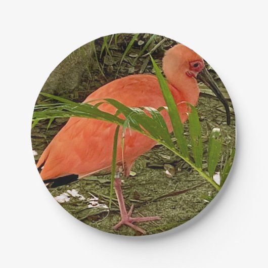 papieren bord (Voorkant)