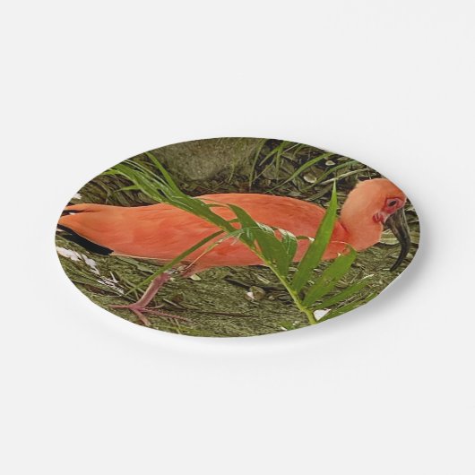 papieren bord (Gekanteld)