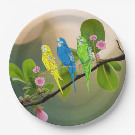 Papieren Bord Budgies