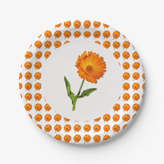 Papieren Bord - Calendula (Voorkant)