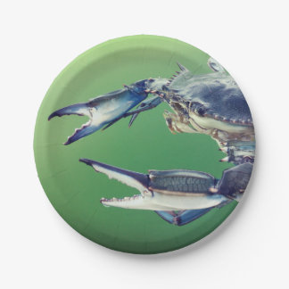 Papieren Bord met grote blauwe krab