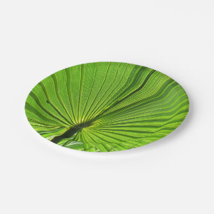Papieren Bord - Tropische palm
