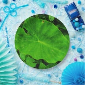 Papieren bord van de natuur (Feest)