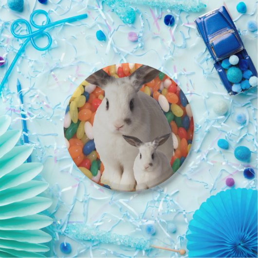 Papieren borden sneller papieren bordje (Feest)