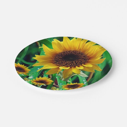 Papieren borden Zonnebloemen Papieren Bordje (Gekanteld)