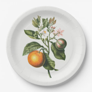 PAPIEREN BORDJE: BITTER ORANJE BLOSSOM BORDJE