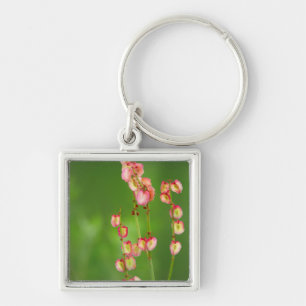 Papieren Harten (Rumex Woodii), Ukhahlamba Sleutelhanger