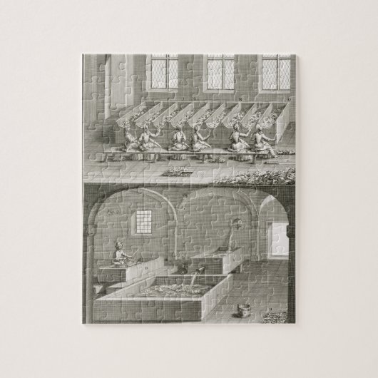 Papieren productie uit de "Encyclopedie des Scienc Legpuzzel (Verticaal)