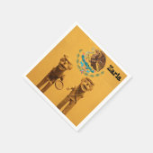 Papieren servetten, oude Mexicaans Servet (Hoek)