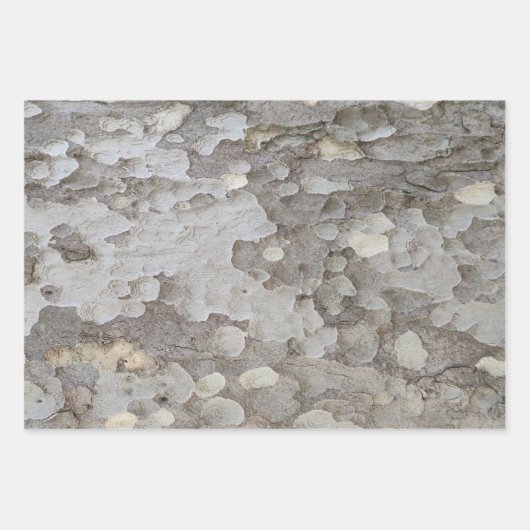 Papieren vellen met omhulling van bomen (Voorkant)