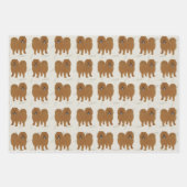 Papieren vellen voor het oppakken van de wijze waa (Voorkant 3)