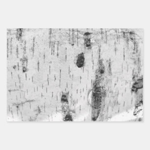 Papieren vellen voor het verpakken van bangschors