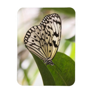 Papieren vlieger vlinder magneet