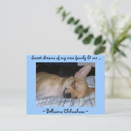 Papierkaart Briefkaart (Staand voorkant)