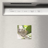 Papiermijtpaal Magneet (Insitu (Vaatwasser))