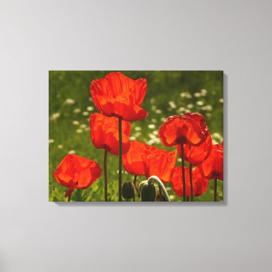 Papiers peints en toile (Recto)