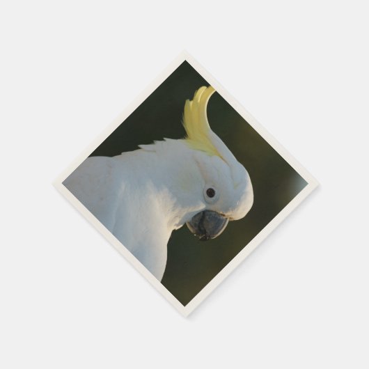 Papierservietten Kakadu Servetten (Hoek)