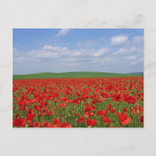 Papierveld Briefkaart (Voorkant)