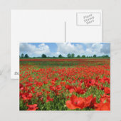Papiervelden Briefkaart (Voorkant / Achterkant)