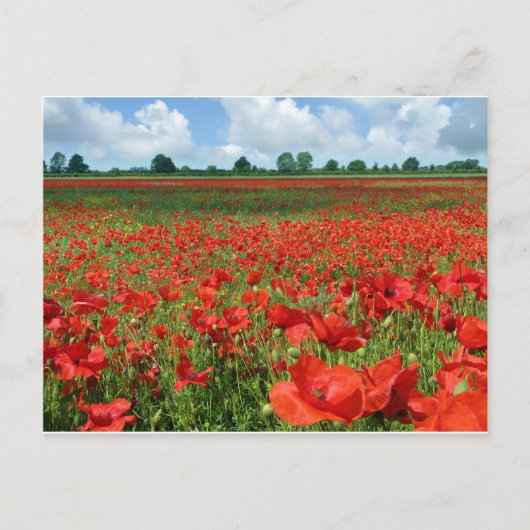 Papiervelden Briefkaart (Voorkant)