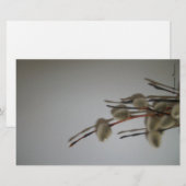 Papierwaren vellen (PussyWillows) RFPMDesigns©️201 (Voorkant / Achterkant)