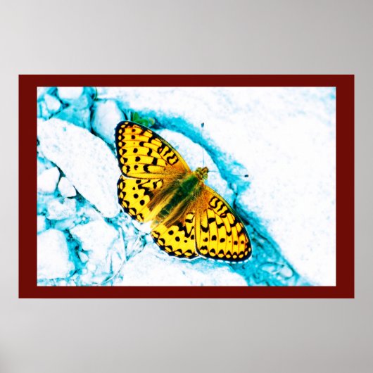 papillon 2 poster (Voorkant)