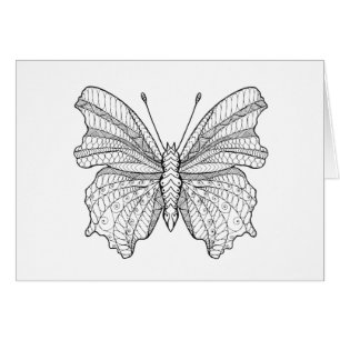 Papillon 3 de style