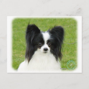 Papillon 9T056D-088 Briefkaart