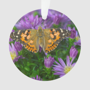 Papillon à ailes angulaires sur fleur conique