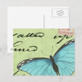 Papillon à ailes bleues sur carte postale Turquois (Devant / Derrière)