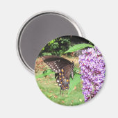 Papillon à épicéa ~ aimant (Recto/Verso)