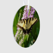 Papillon à queue d'hirondelle sur des fleurs sauva (devant)