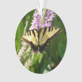 Papillon à queue d'hirondelle sur des fleurs sauva (devant)