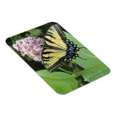 Papillon à queue jaune Flexi Magnet (Côté Droit)