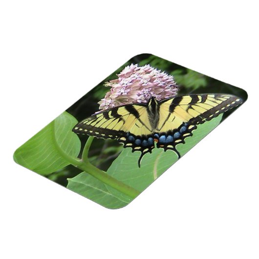 Papillon à queue jaune Flexi Magnet (Côté Gauche)