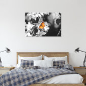 Papillon américain à toile étirée (Insitu(Chambre))