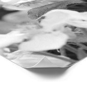 Papillon Américain Lady Sur Blossom Poster (Coin)