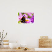 Papillon Amiral rouge sur affiche de fleur (Cuisine)